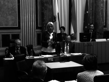Volksanwältin Brinek bei der Plenarsitzung im Bundesrat