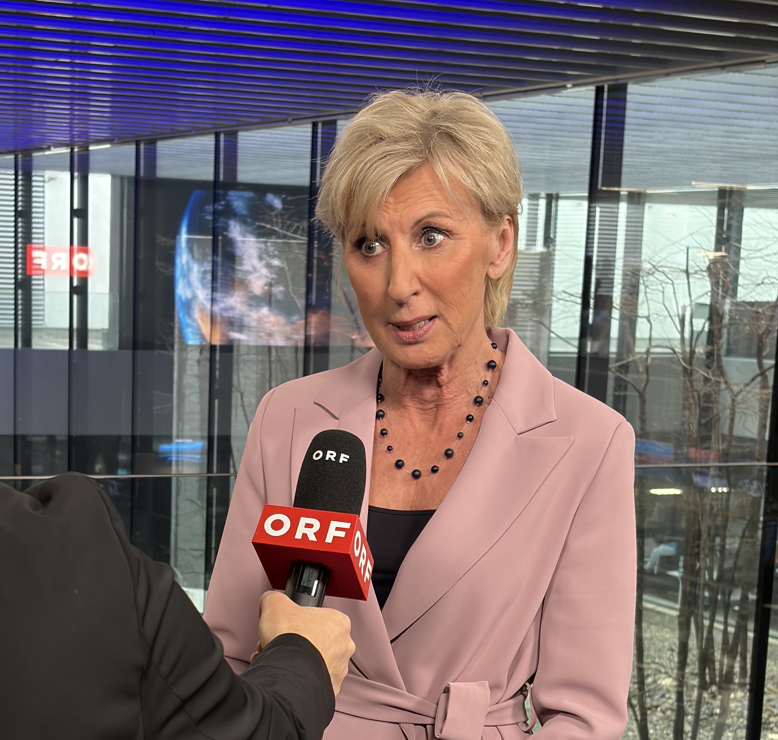 Volksanwältin Gaby Schwarz spricht in ein ORF Mikro.