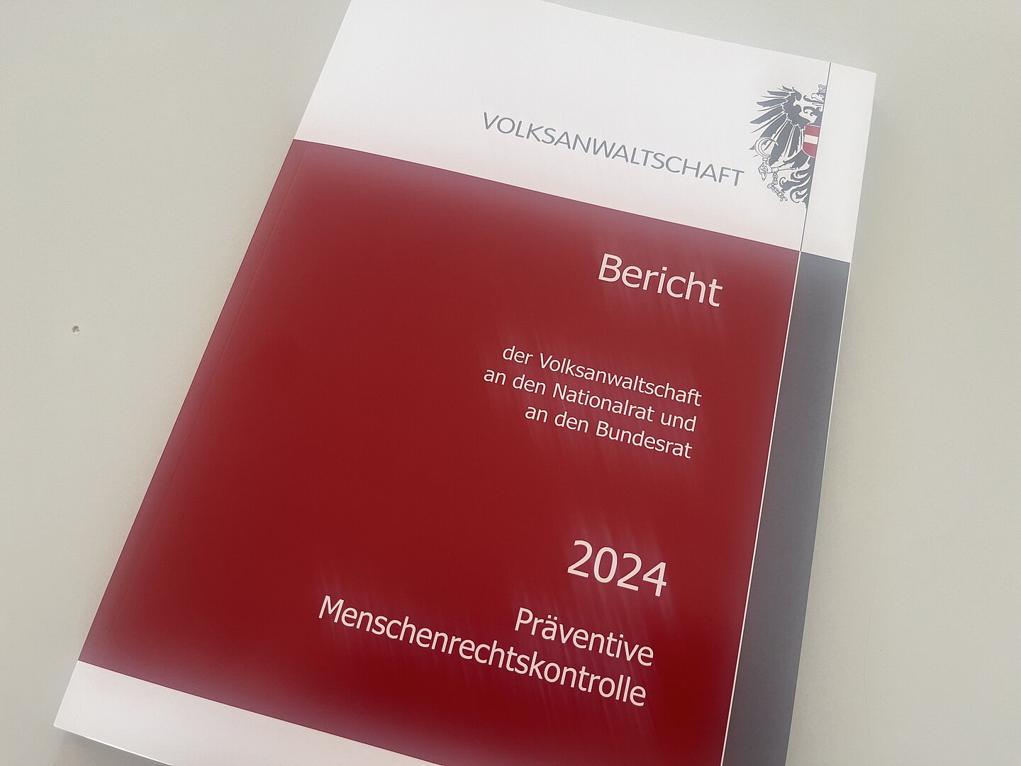 Bericht der Volksanwaltschaft an das Parlament, Band 2, Präventive Menschenrechtskontrolle
