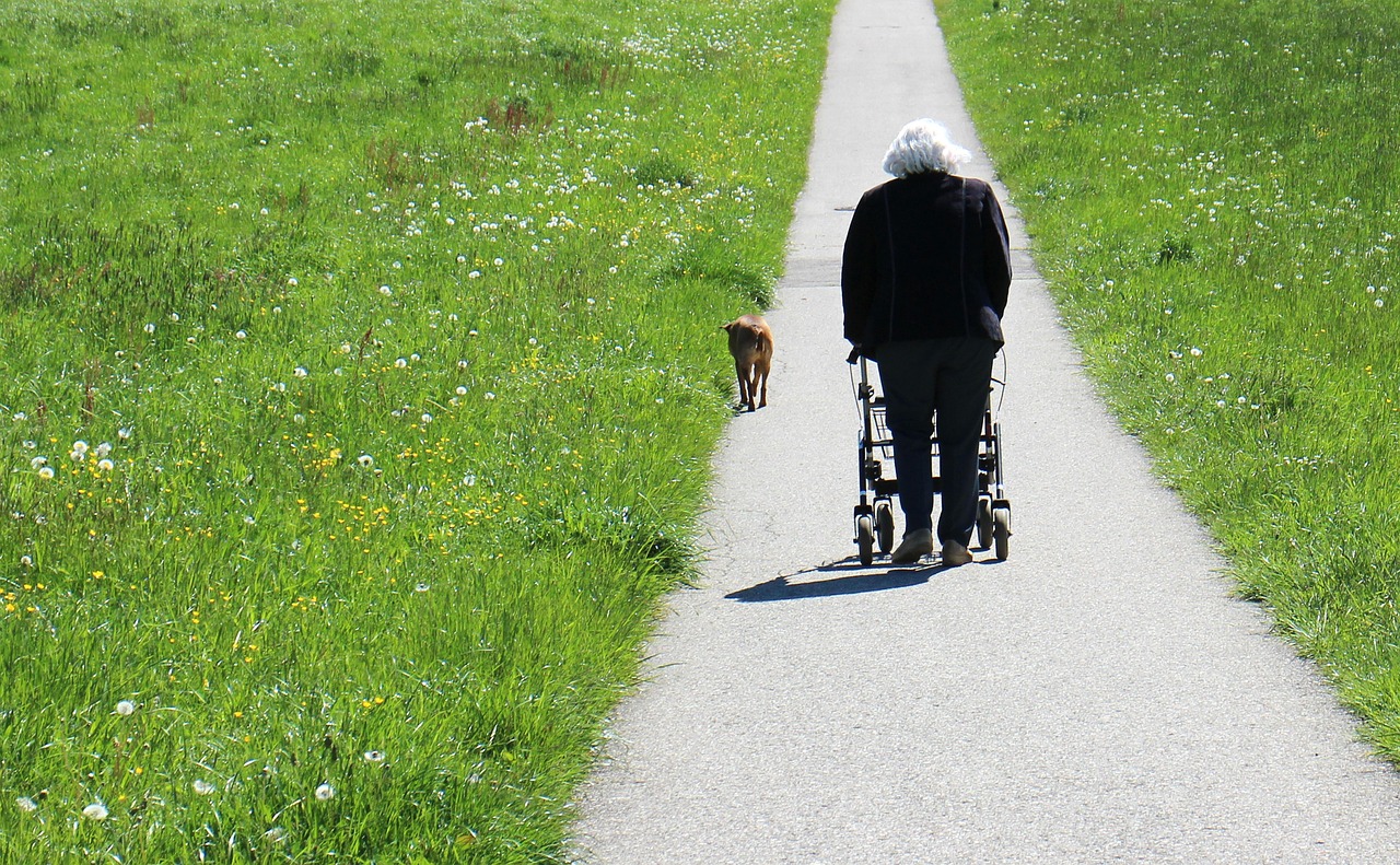 Person with rollator on a footpath through a meadow