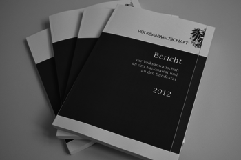 Der Jahresbericht 2012