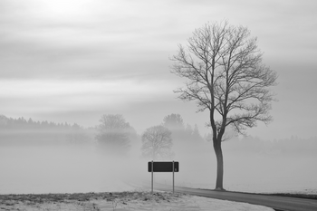 Winterliche Straße im Nebel